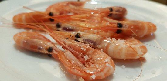 Freiduria Santa Monica